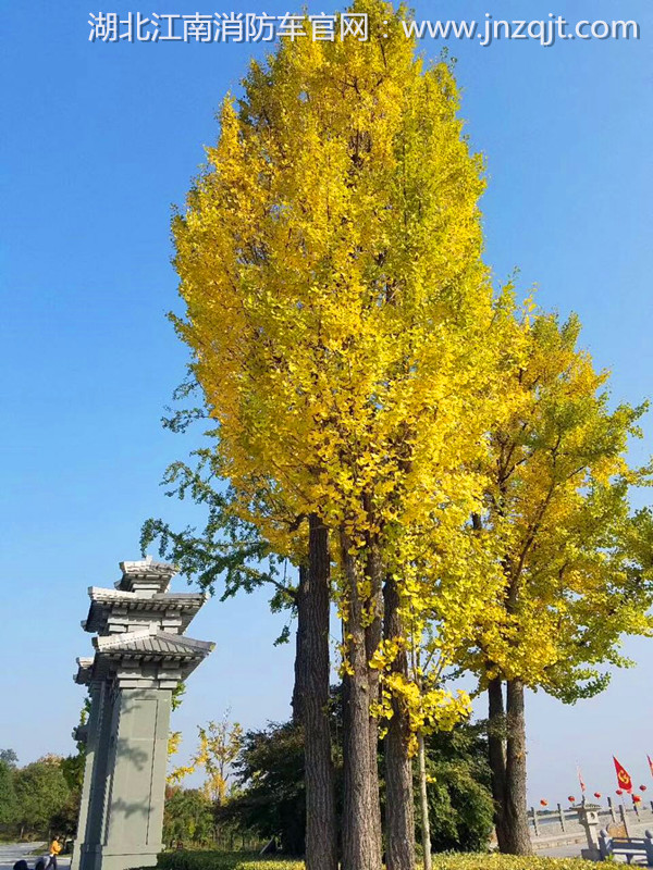 微信图片_20171030073925.jpg 微信图片_20171030073925.jpg