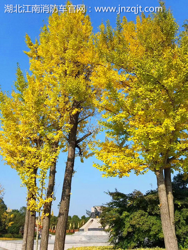 微信图片_20171030073901.jpg 微信图片_20171030073901.jpg